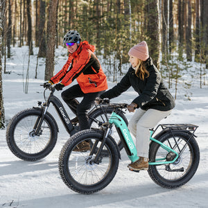 Gocio Electric Bike, 26" x 4.0 Fat Tire Ebike, 750W Motor Electric Mountain Bike for Adults, 22MPH Electric Bicycle for Men with 48V 15Ah Removable Battery UL 2849 Shimano 7 Speed - GOCIO