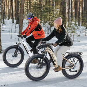 Gocio Electric Bike, 26" x 4.0 Fat Tire Ebike, 750W Motor Electric Mountain Bike for Adults, 22MPH Electric Bicycle for Men with 48V 15Ah Removable Battery UL 2849 Shimano 7 Speed - GOCIO