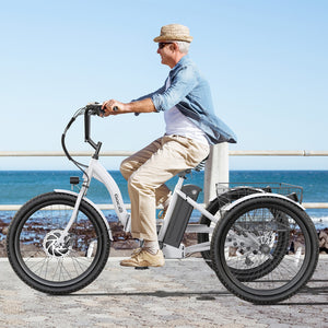 Gocio Electric Tricycle for Adults, Peak 500W Motor Electric Trike 48V 10.4AH UL2849 Battery, Cargo Motorized Tricycle, Shimano 7 Gears 3-Wheel Electric Bike for Adults & Seniors - GOCIO