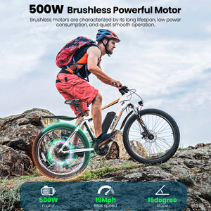 Gocio 500W Electric Bike 26" Electric Bicycle for Adults Max 19.8mph Cruise Control System Ebike, Mountain Bike with Removable 48V 375Wh Lithium-Ion Battery, 21 Speed E Bicycle for Man Woman UL2849 - GOCIO