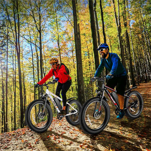 Gocio 26" 4.0 Fat Tire Electric Bike for Adults, 500W Adults E Bike, 48V 13Ah Battery, Max 22Mph Electric Mountain Bike Beach Bicycle Snow Bike Ebike for Men, Professional 7-Speed UL2849 - GOCIO