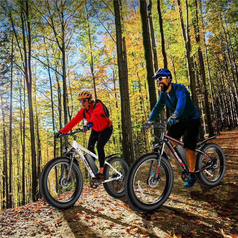 Gocio 26" 4.0 Fat Tire Electric Bike for Adults, 500W Adults E Bike, 48V 13Ah Battery, Max 22Mph Electric Mountain Bike Beach Bicycle Snow Bike Ebike for Men, Professional 7-Speed UL2849 - GOCIO