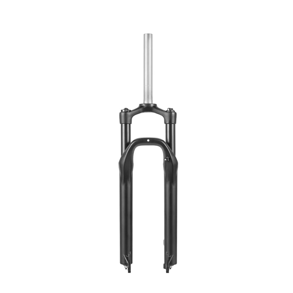 Gocio Electric Bike Forks