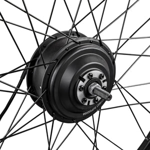 Gocio Electric Bike Rear Wheels - GOCIO
