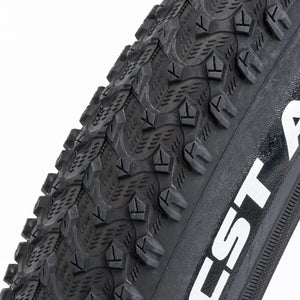 Gocio Electric Bike Tires - GOCIO