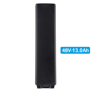 Gocio Electric Bike Batteries - GOCIO