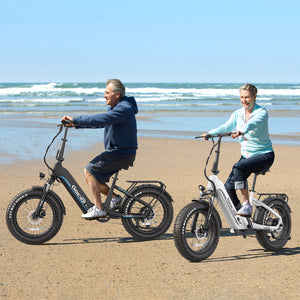 Gocio Electric Bike for Adults, Peak 1025W Mountain E Bike, 48V 13AH Removable Lithium-Ion Battery Ebikes, 20"x4.0" Fat Tire Electric Bicycles, 3A Fast Charge, up to 60 Miles Man Woman UL2849 - GOCIO