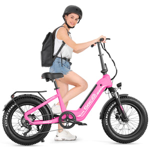 Gocio Electric Bike for Adults, Peak 1025W Mountain E Bike, 48V 13AH Removable Lithium-Ion Battery Ebikes, 20"x4.0" Fat Tire Electric Bicycles, 3A Fast Charge, up to 60 Miles Man Woman UL2849 - GOCIO