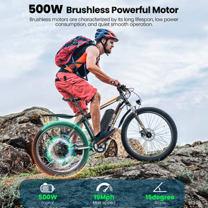 Gocio 500W Electric Bike 26" Electric Bicycle for Adults Max 19.8mph Cruise Control System Ebike, Mountain Bike with Removable 48V 375Wh Lithium-Ion Battery, 21 Speed E Bicycle for Man Woman UL2849 - GOCIO